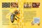 Preview: Entdecke die Bienen